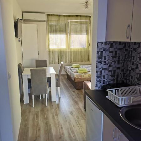 Studio apartmani Manila Vrnjacka Banja Bagian luar foto