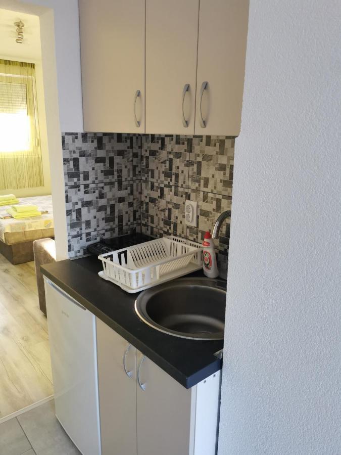 Studio apartmani Manila Vrnjacka Banja Bagian luar foto
