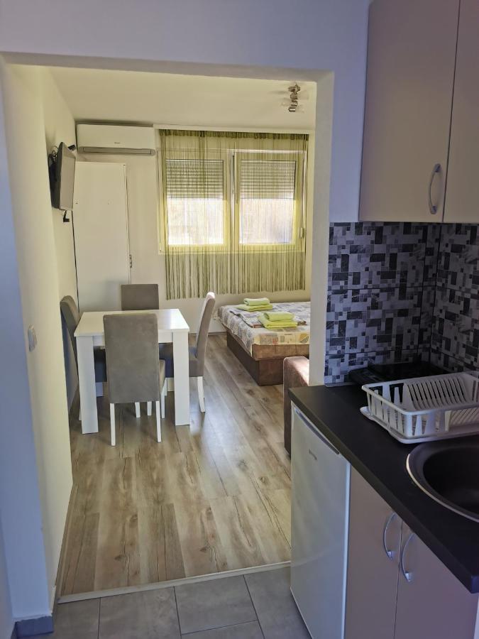Studio apartmani Manila Vrnjacka Banja Bagian luar foto